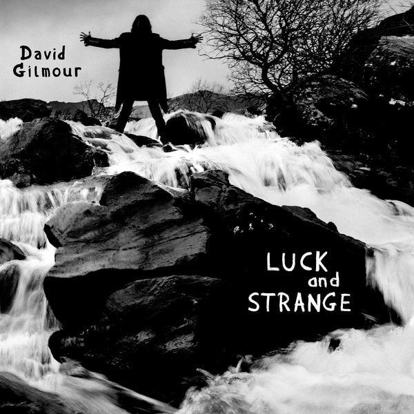 David Gilmour - Luck and Strange - INDIE EXCLUSIVE Opaque Silver Vinyl