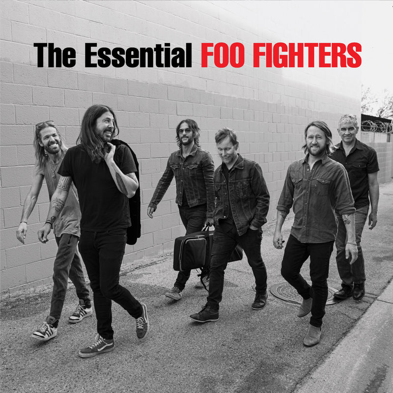 Foo Fighters - Essential 2lp set